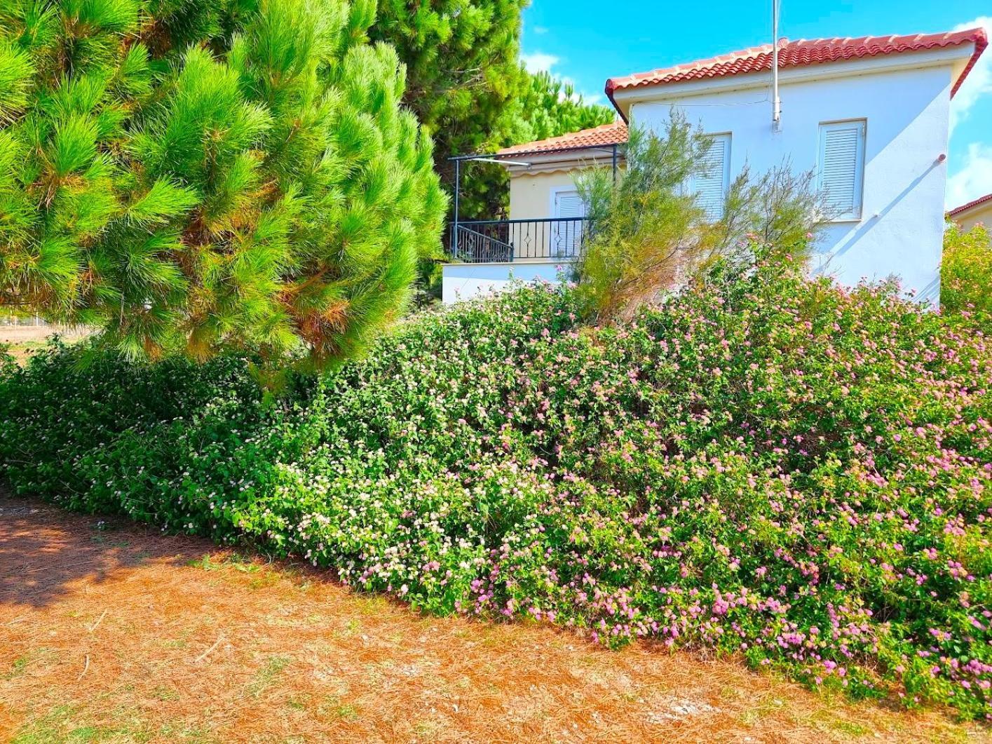 Romanos Beach Villas Extérieur photo